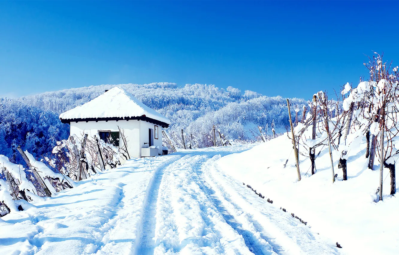 Photo wallpaper winter, snow, landscape, nature, the snow, weather, wallpapers, conditions