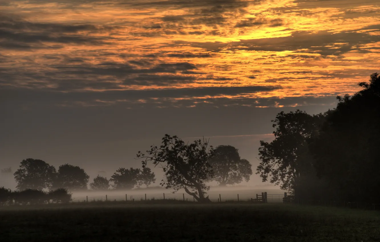 Photo wallpaper field, the sky, landscape, sunset, nature, fog
