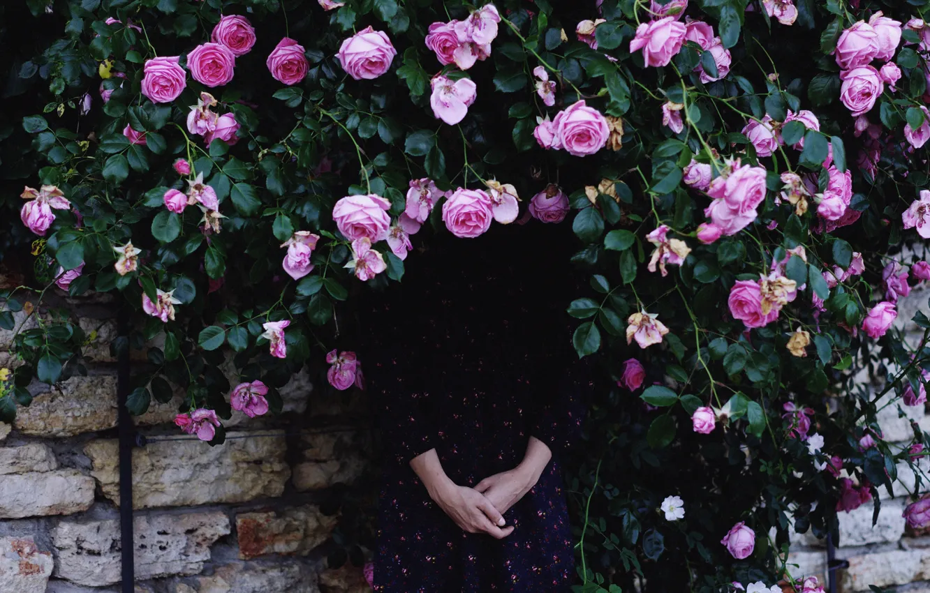 Photo wallpaper Girl, Roses, Roses, Girl