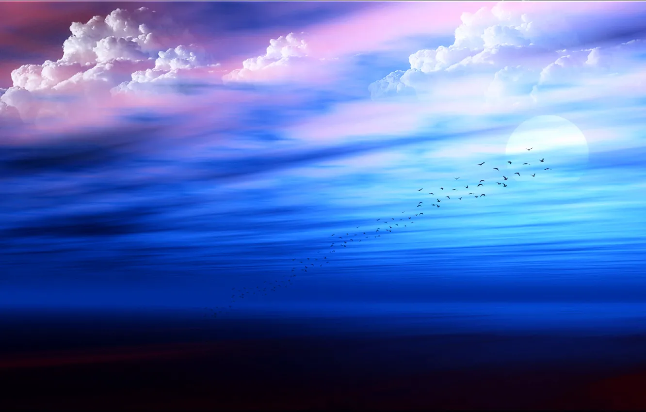 Photo wallpaper sea, the sky, the sun, clouds, bird, the moon, pack