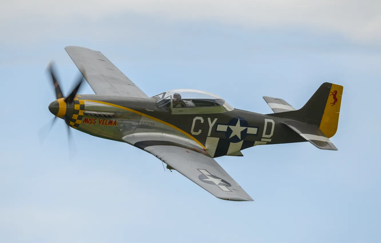 Photo wallpaper Mustang, fighter, P-51D, single