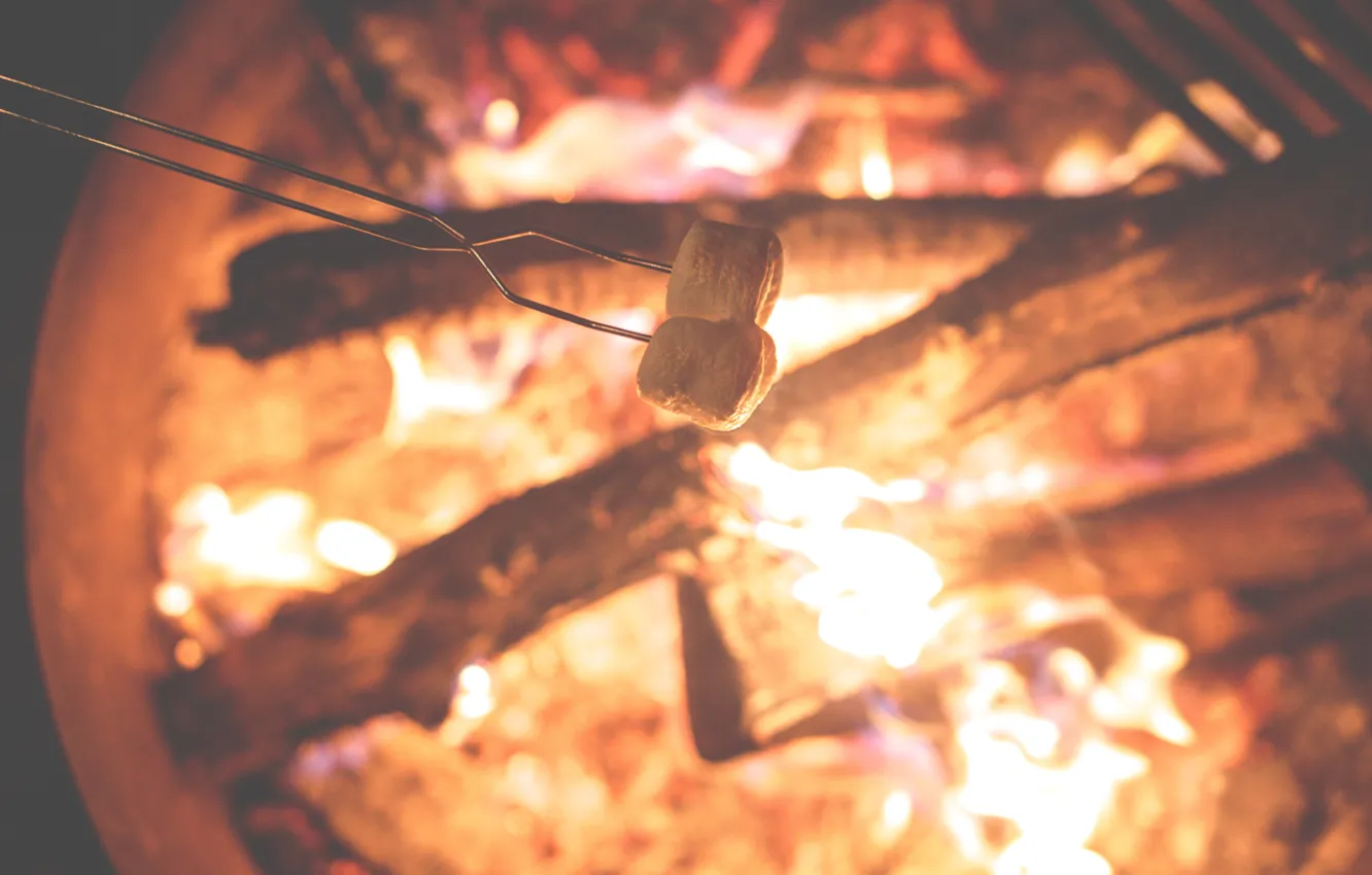 Photo wallpaper fire, the fire, fire, wood, marshmallows, flames, outdoors, camping