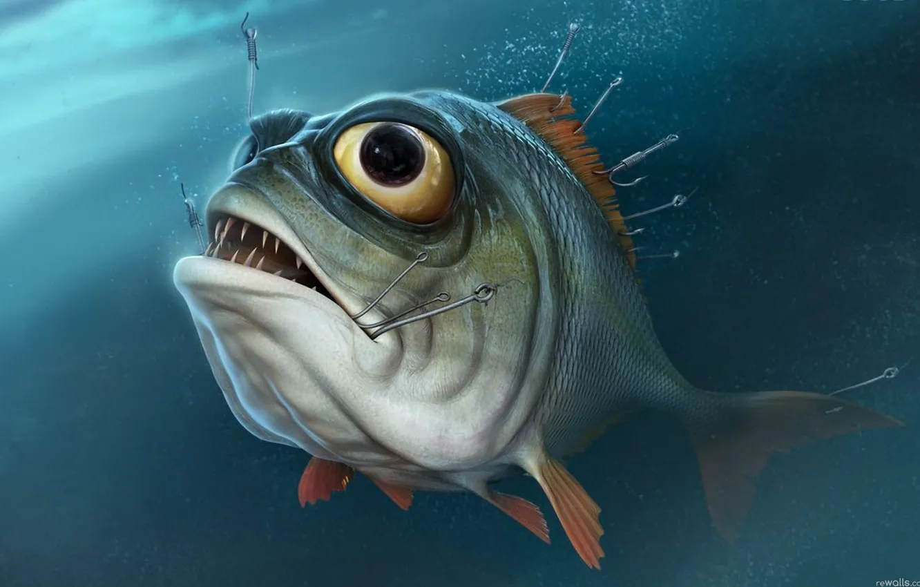 Photo wallpaper eyes, water, fishing, fish, piranha, hooks