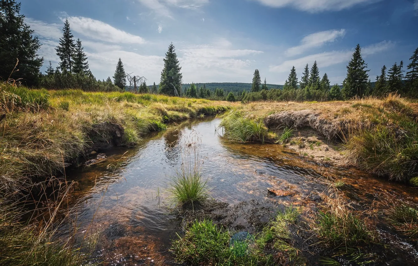 Photo wallpaper the sky, grass, stream