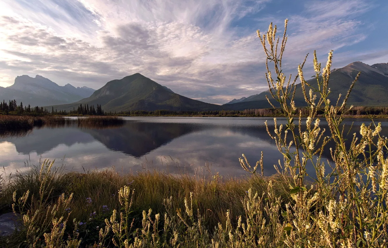 Photo wallpaper grass, landscape, mountains, nature, lake
