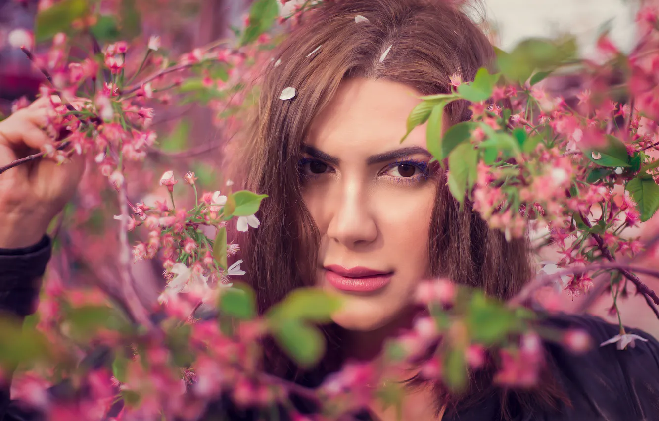 Photo wallpaper look, girl, branches, portrait, makeup, flowering