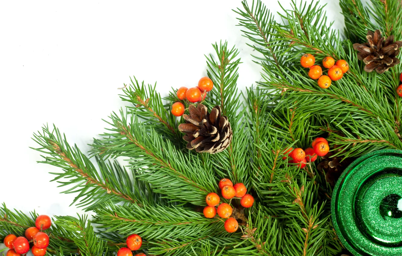 Photo wallpaper balls, branches, berries, tree, bumps