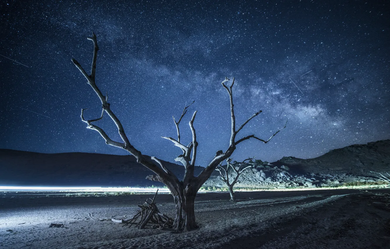 Photo wallpaper space, stars, trees, night, the milky way