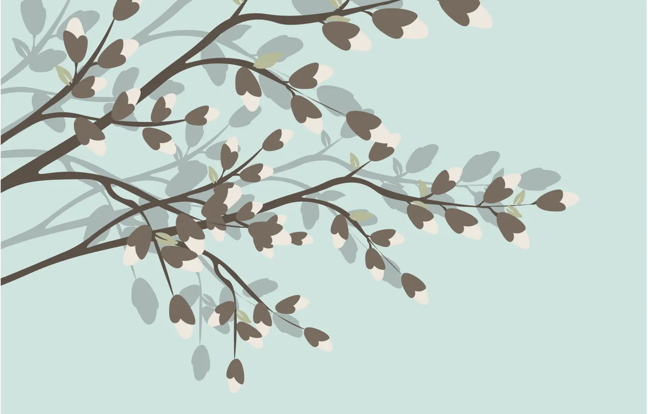 Photo wallpaper background, Wallpaper, flowers, blackground