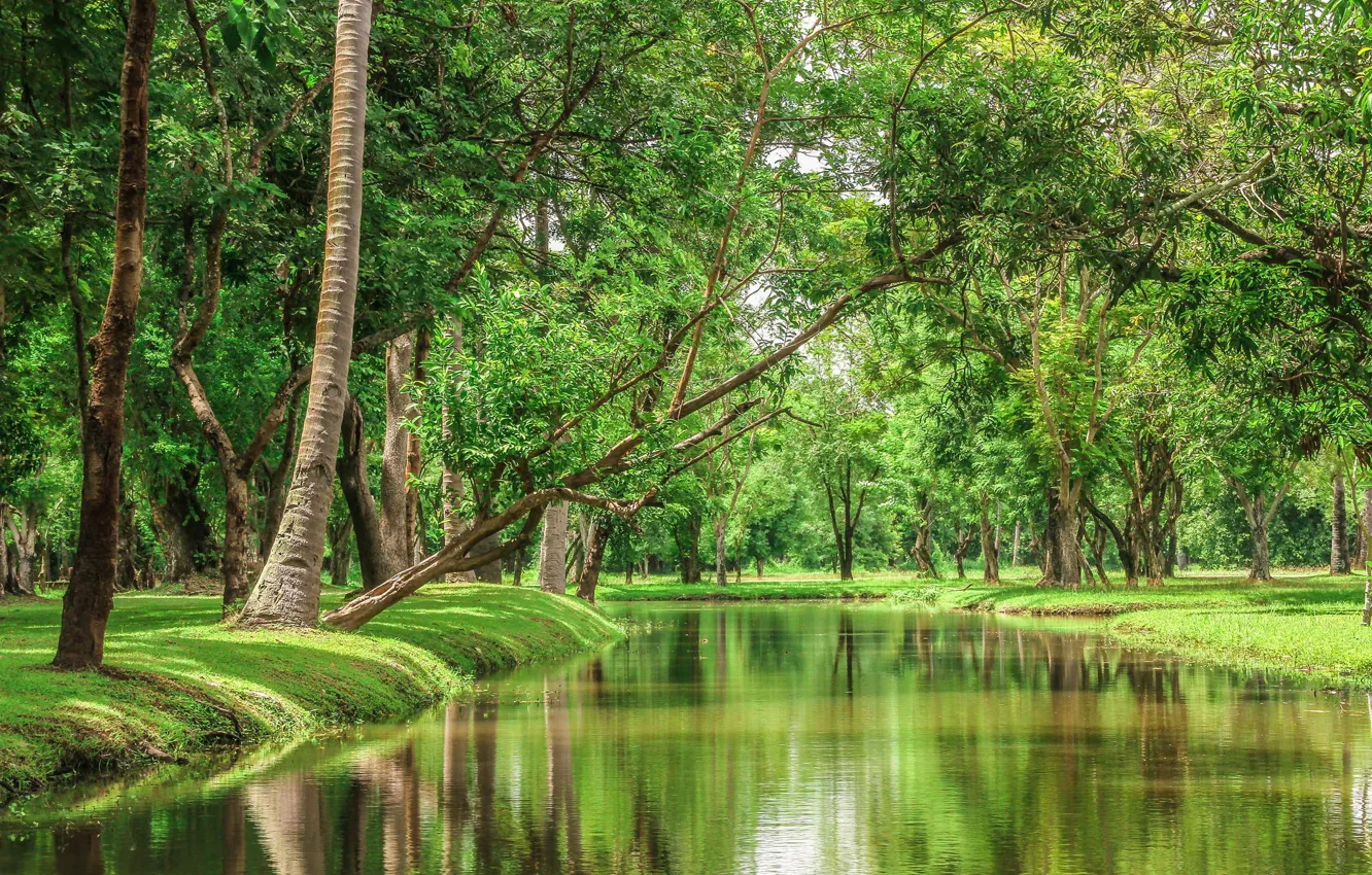 Photo wallpaper trees, landscape, nature, river, beauty, Thailand