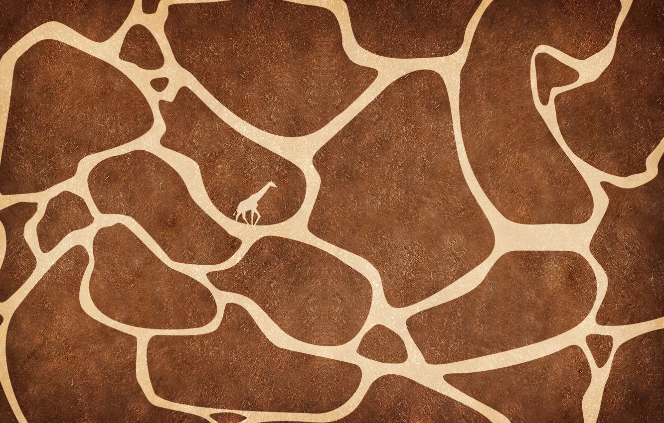 Photo wallpaper texture, giraffe, skin