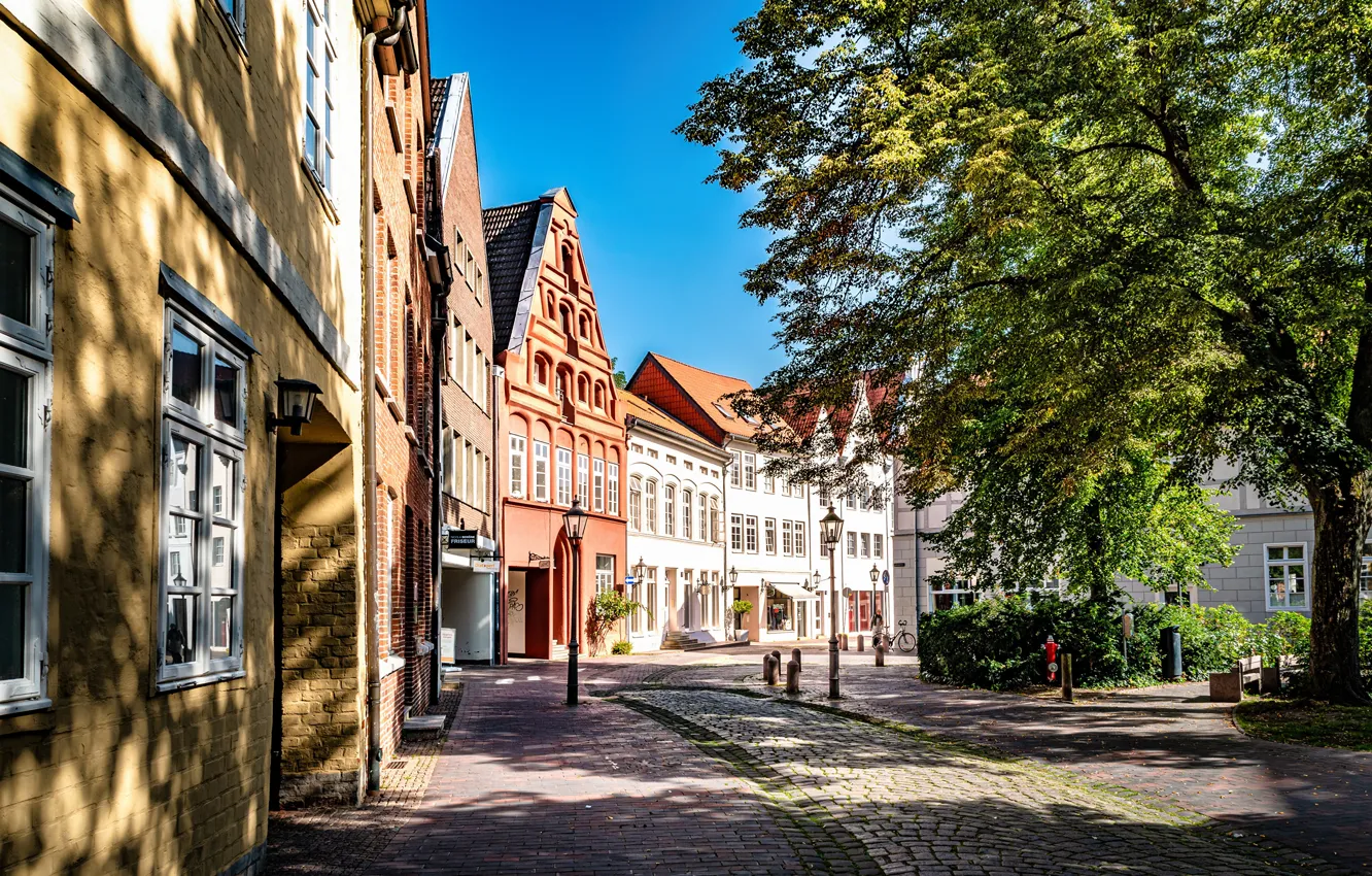 Photo wallpaper trees, the city, street, building, Germany