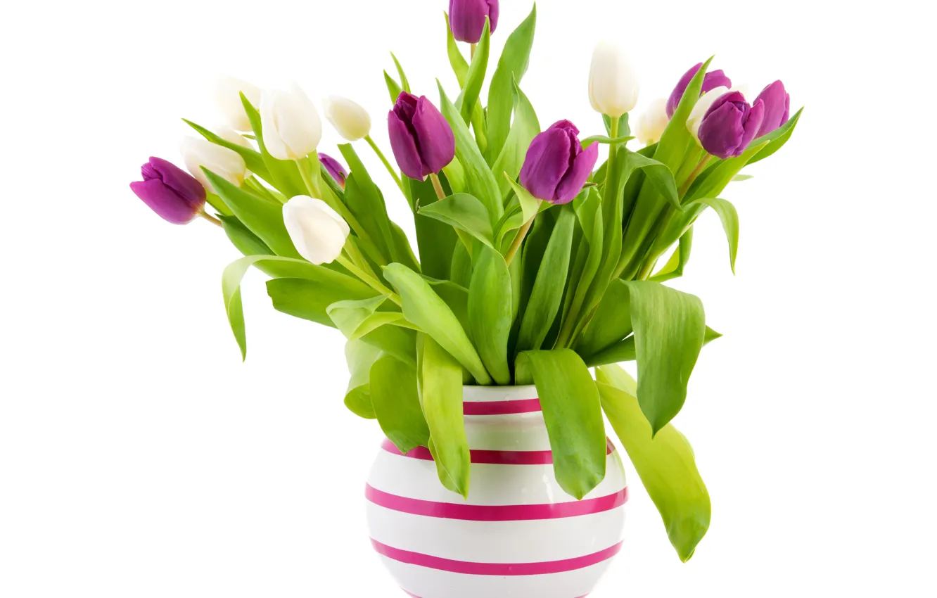 Photo wallpaper leaves, bouquet, green, purple, tulips, white background, vase, white