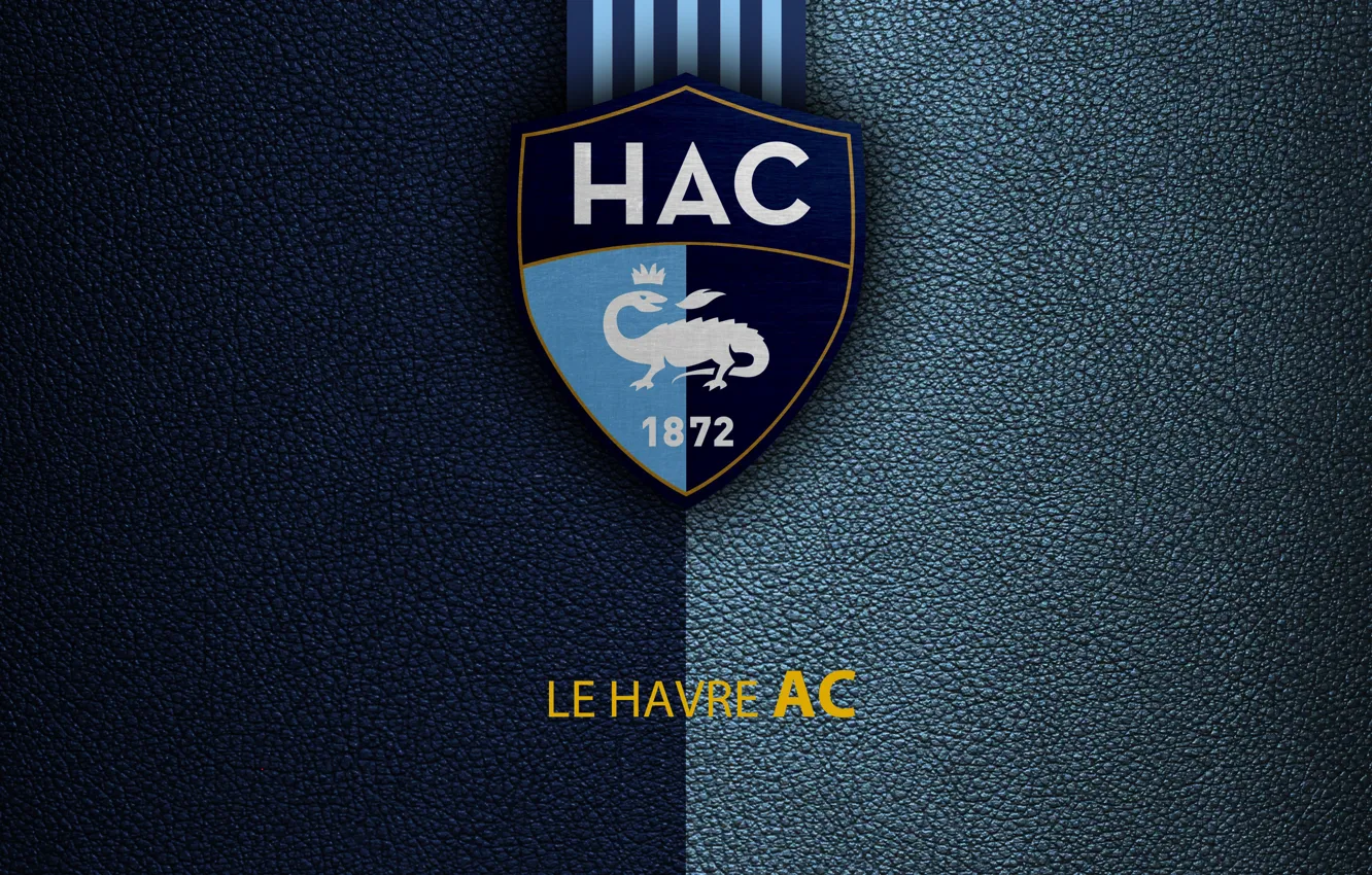 Wallpaper wallpaper, sport, logo, football, Ligue 1, Le Havre for ...