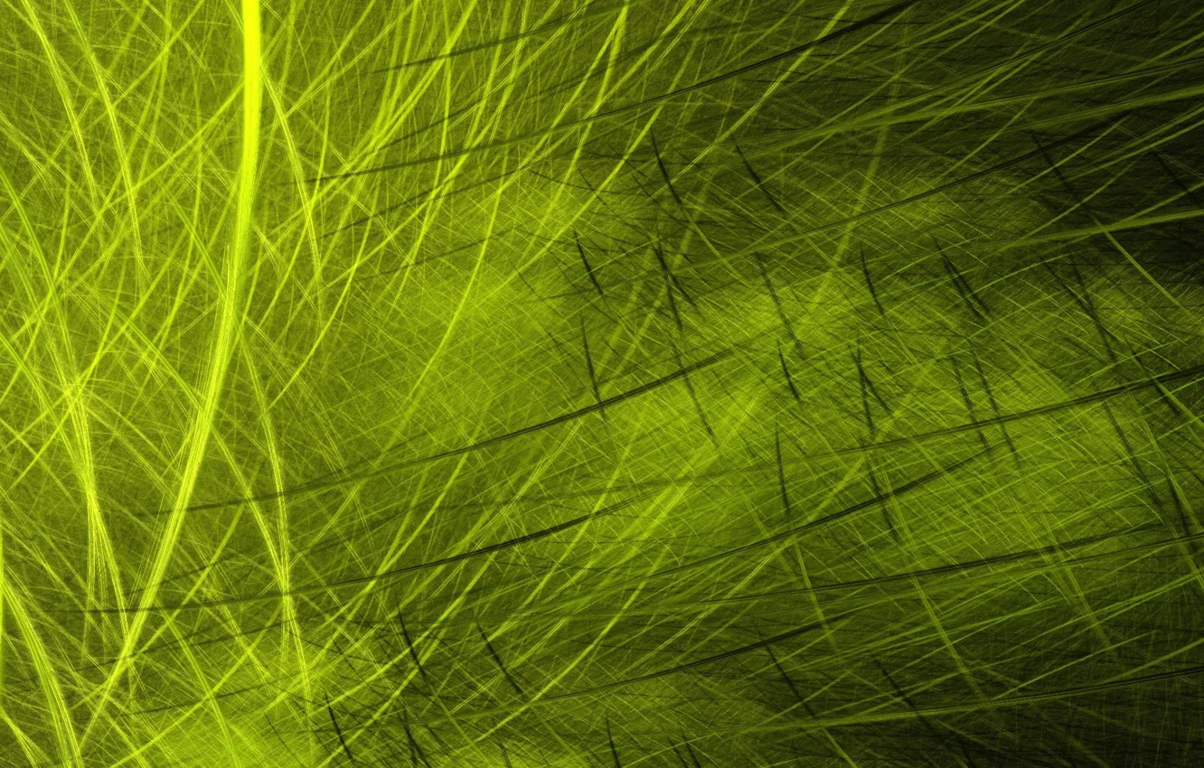 Photo wallpaper greens, touch, green