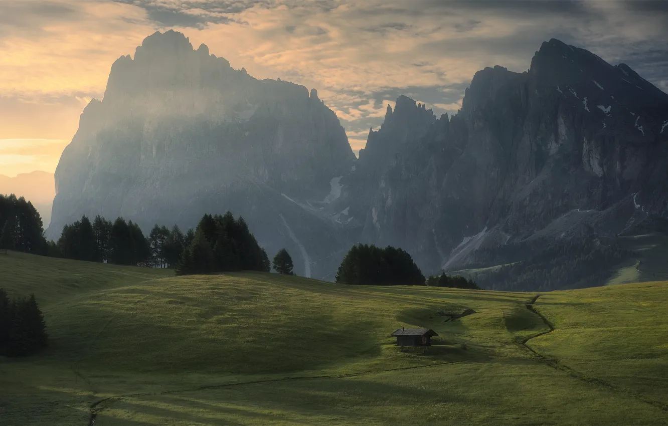 Photo wallpaper field, forest, clouds, mountains, fog, tops, morning, ate