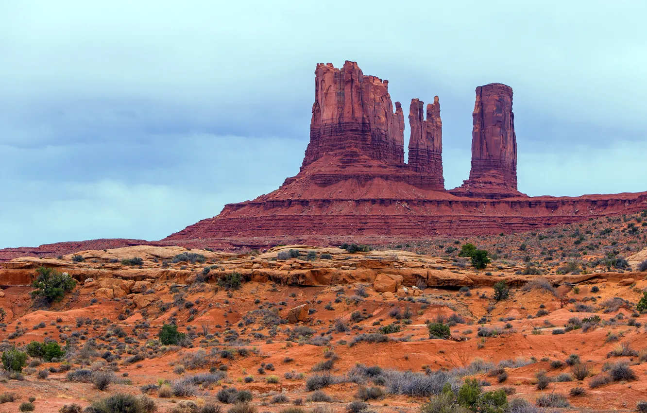 Photo wallpaper the sky, nature, stones, vegetation, desert, structure, canyon, USA