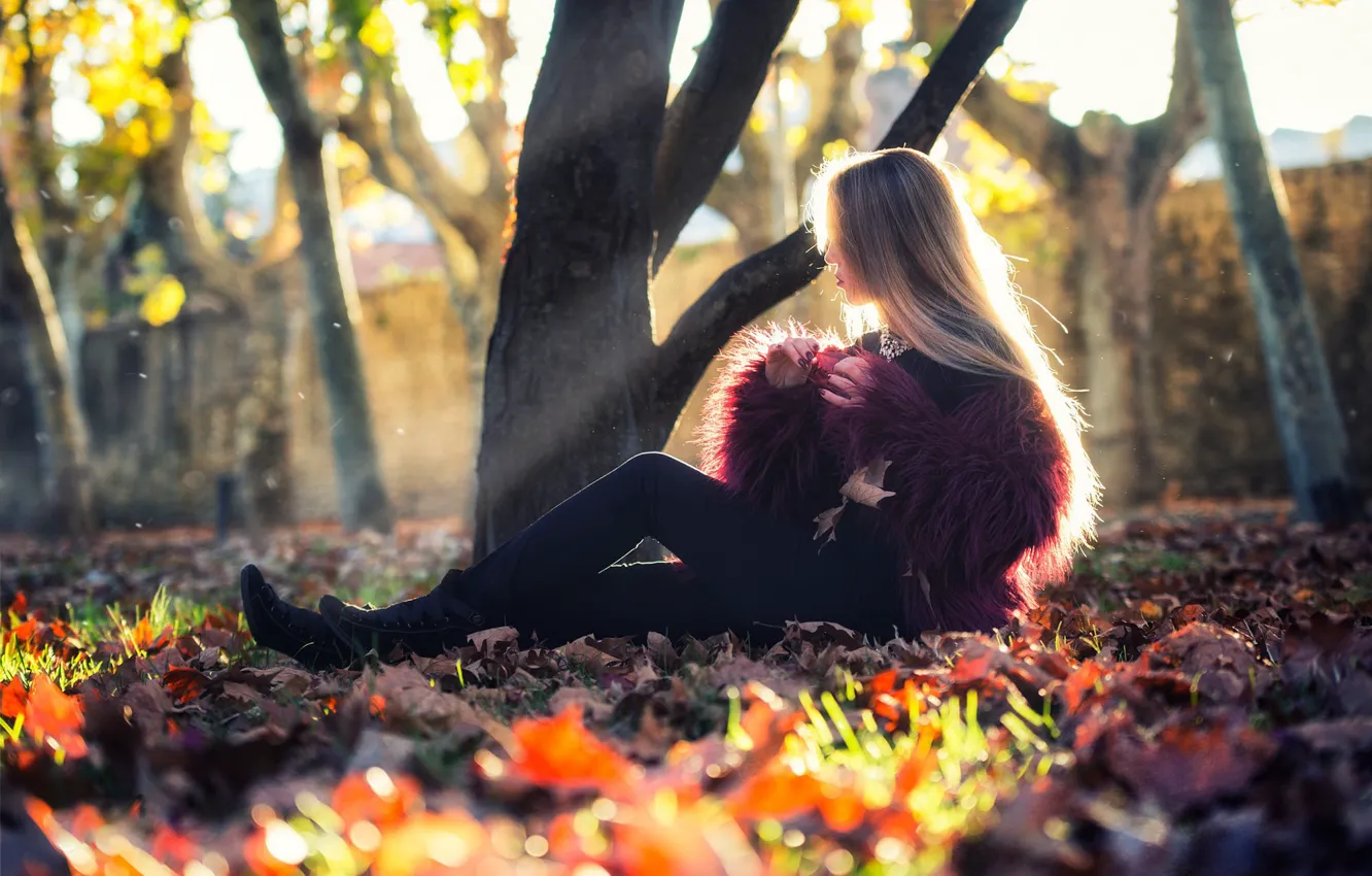 Photo wallpaper autumn, girl, the sun, trees, photo, foliage, model, hair