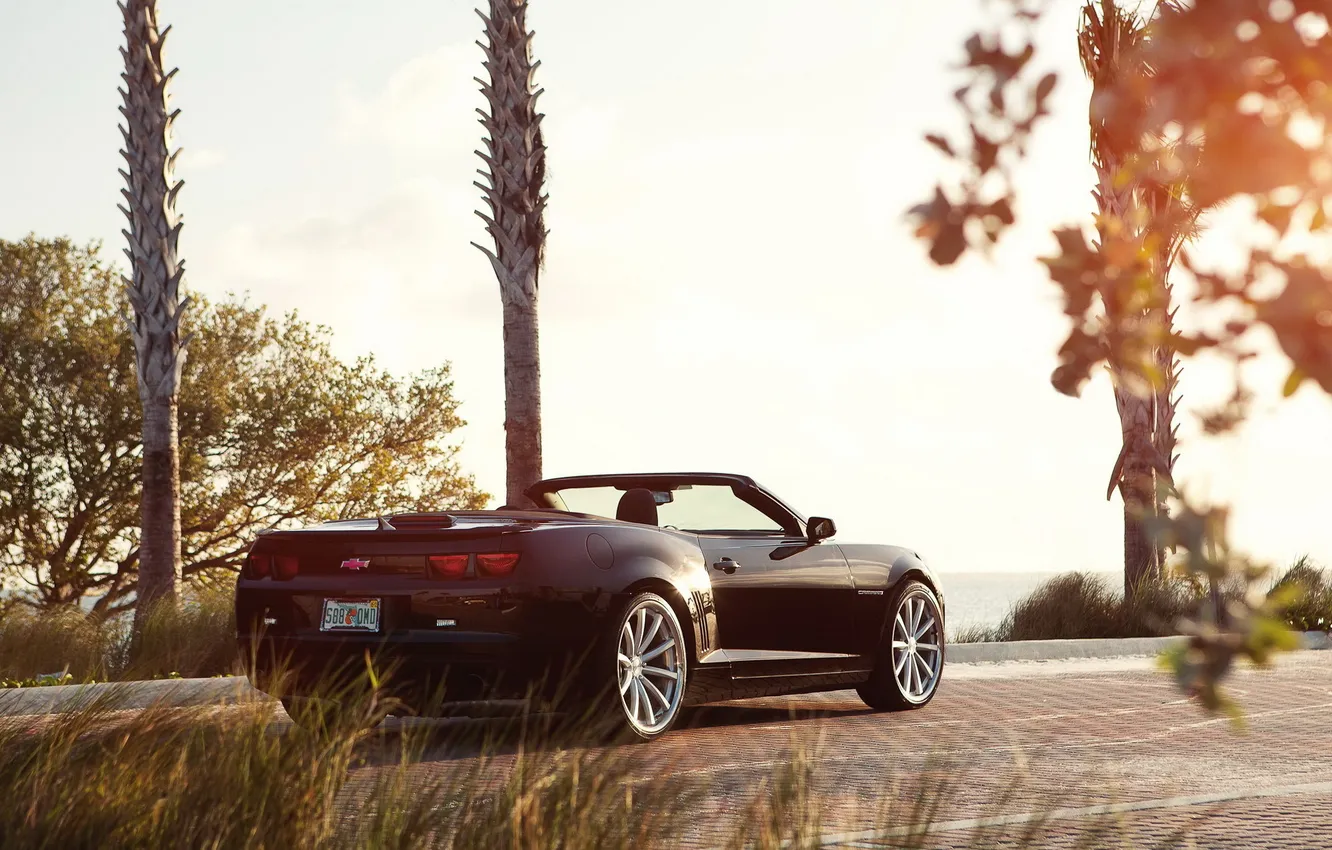 Photo wallpaper trees, sunset, Chevrolet Camaro, Camaro, Chevrolet