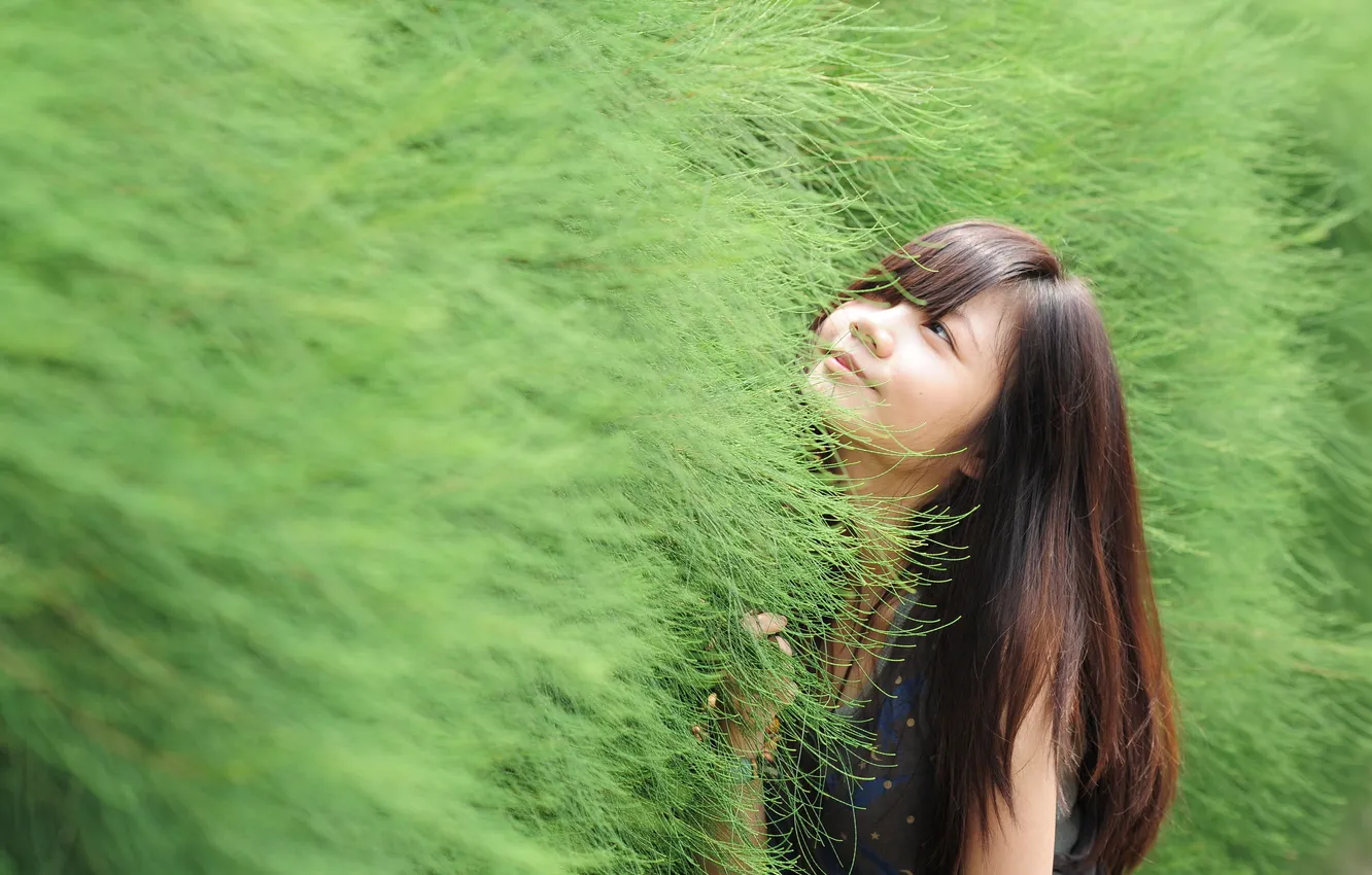 Photo wallpaper greens, girl, background