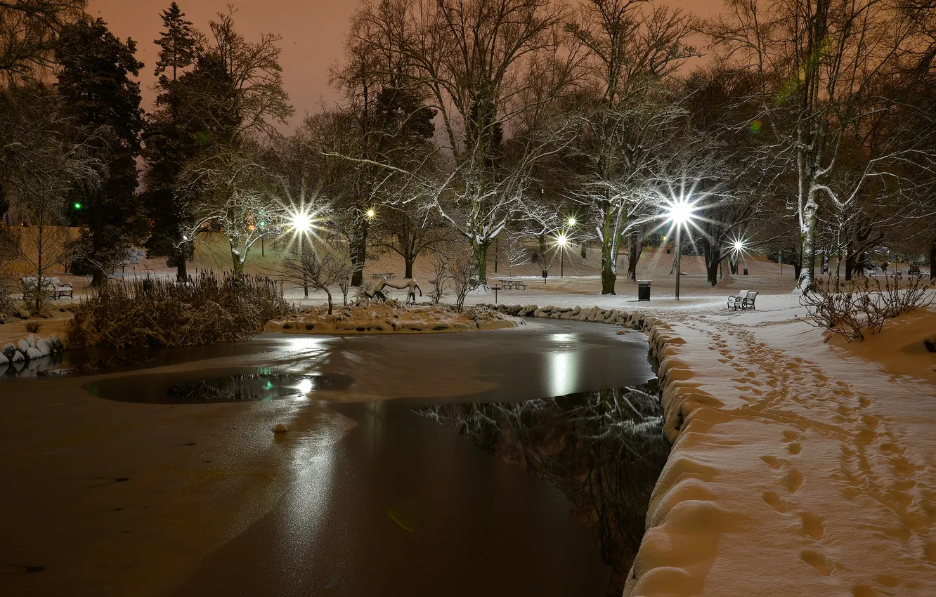 Photo wallpaper Washington, snow night, Tacoma, Wright Park