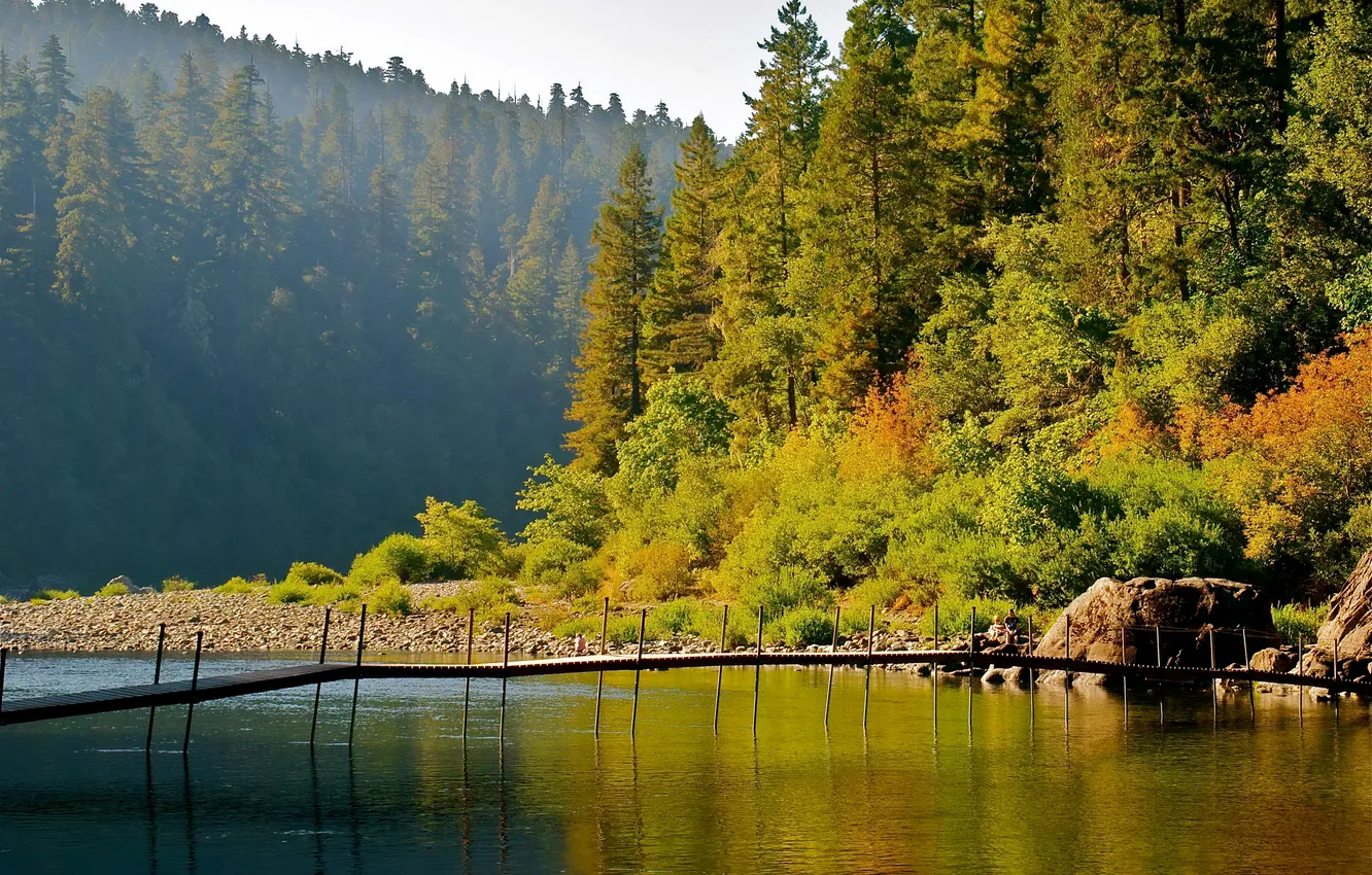 Photo wallpaper autumn, forest, trees, bridge, lake, stones, shore, CA