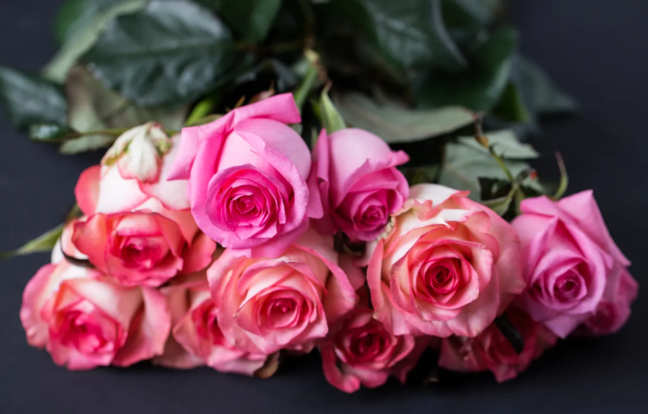 Photo wallpaper flowers, roses, bouquet, buds, KRISTINA TYRYSHKINA