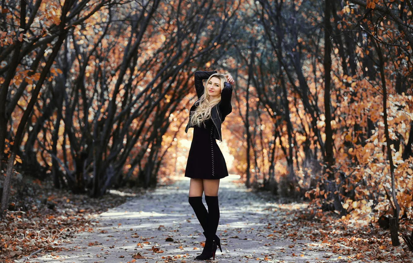 Photo wallpaper autumn, girl, pose, Park, photo, hair, figure, dress