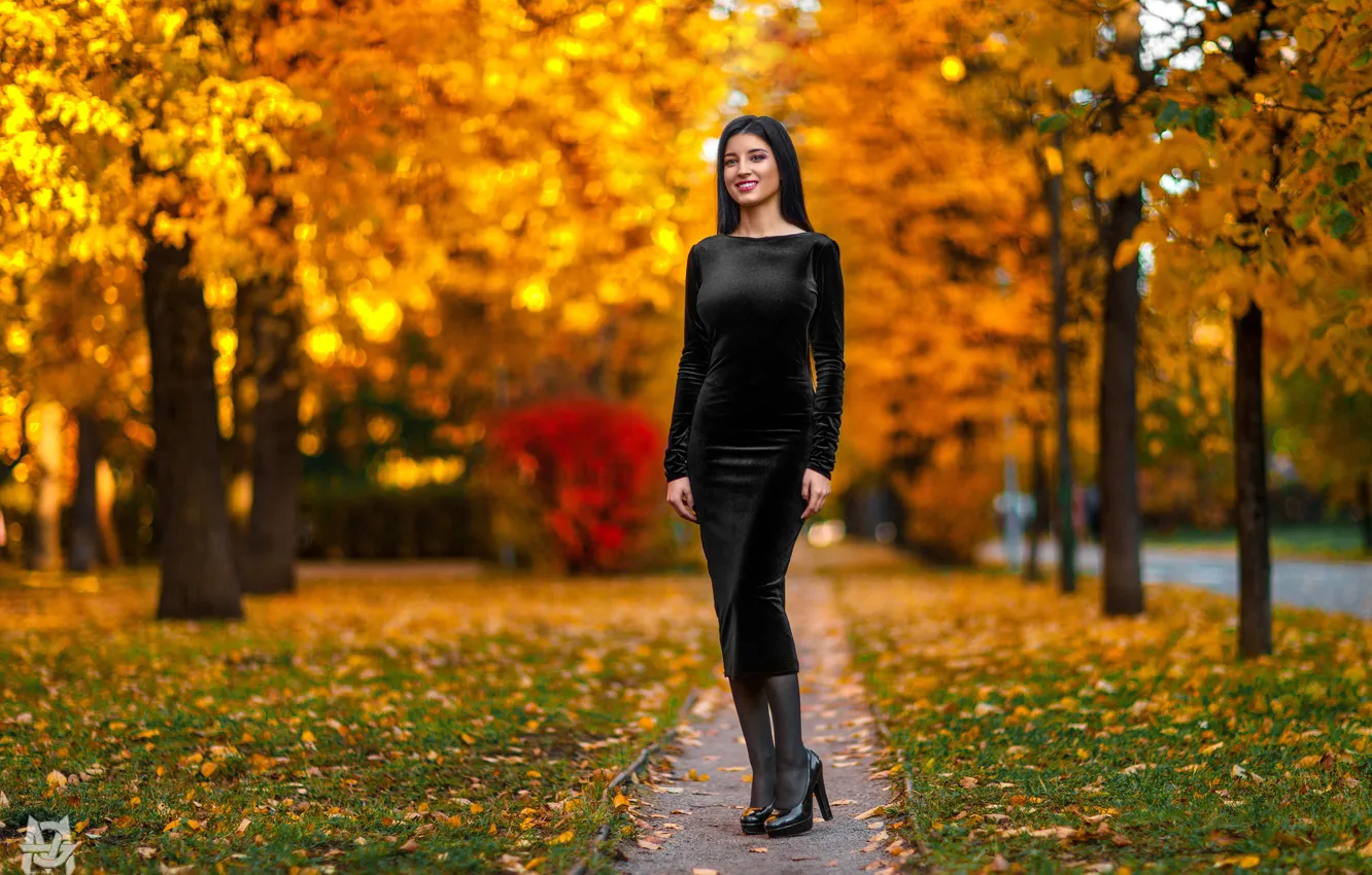 Photo wallpaper autumn, look, leaves, trees, sexy, pose, smile, Park