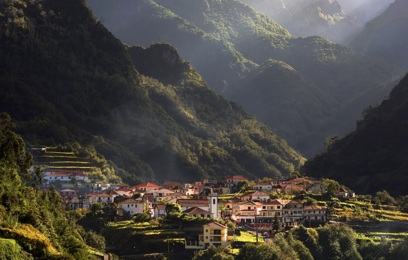 Photo wallpaper forest, the sun, trees, mountains, nature, home, haze, gorge