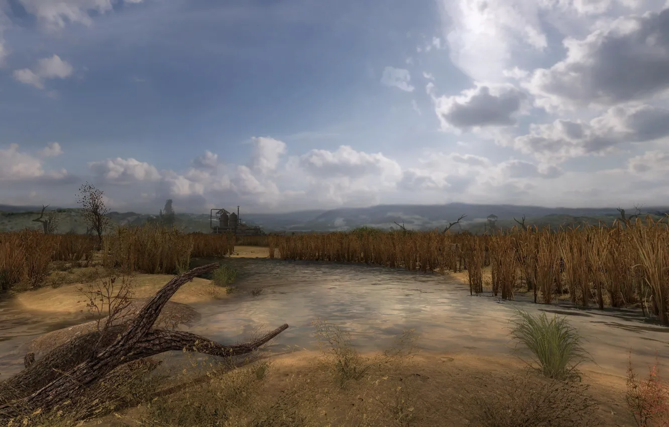 Photo wallpaper swamp, Stalker, Clear Sky, S. T. A. L. K. E. R., Clear skies, pumping station
