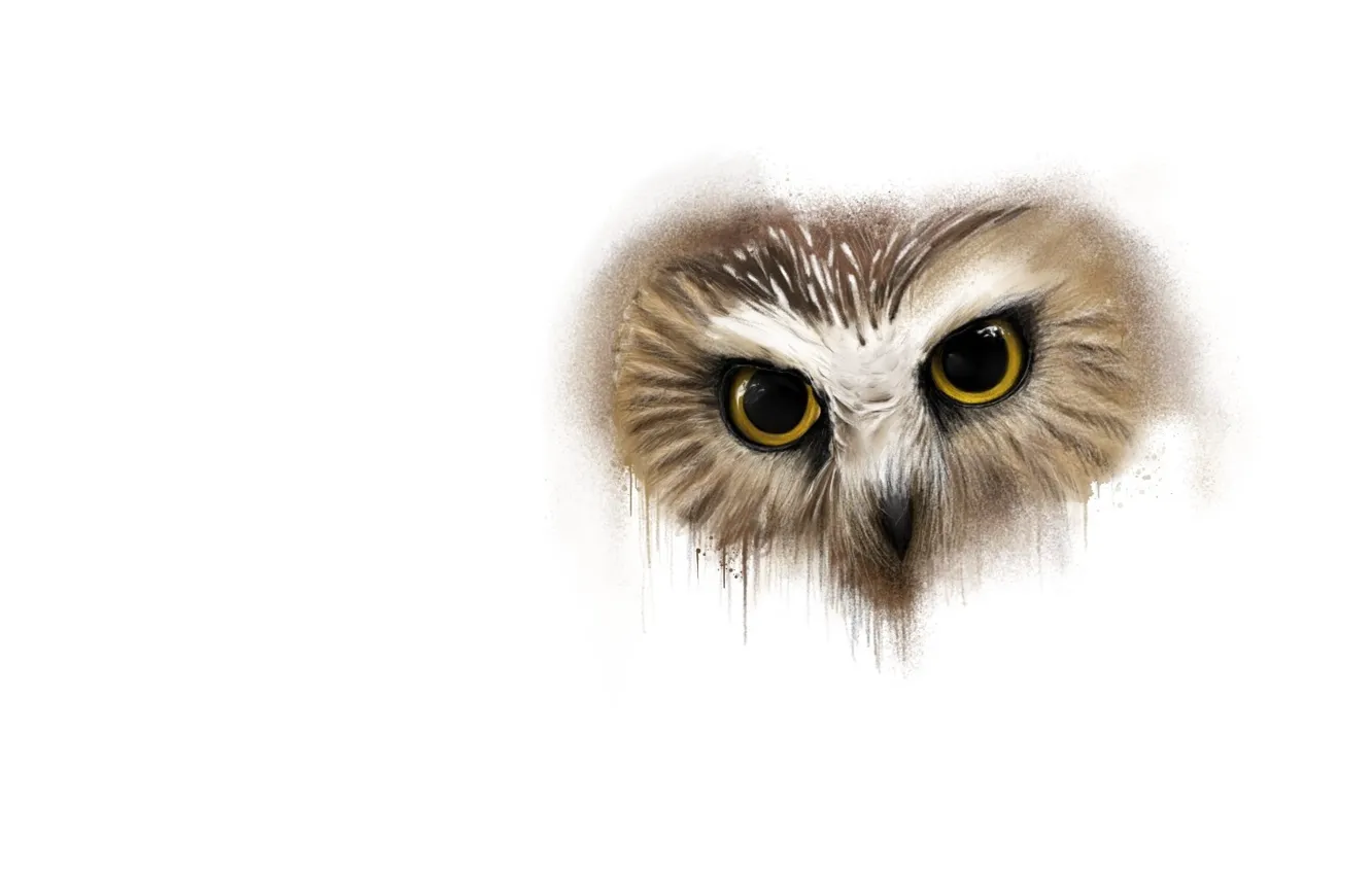 Photo wallpaper owl, art, Animals, Sergey Yasnikov