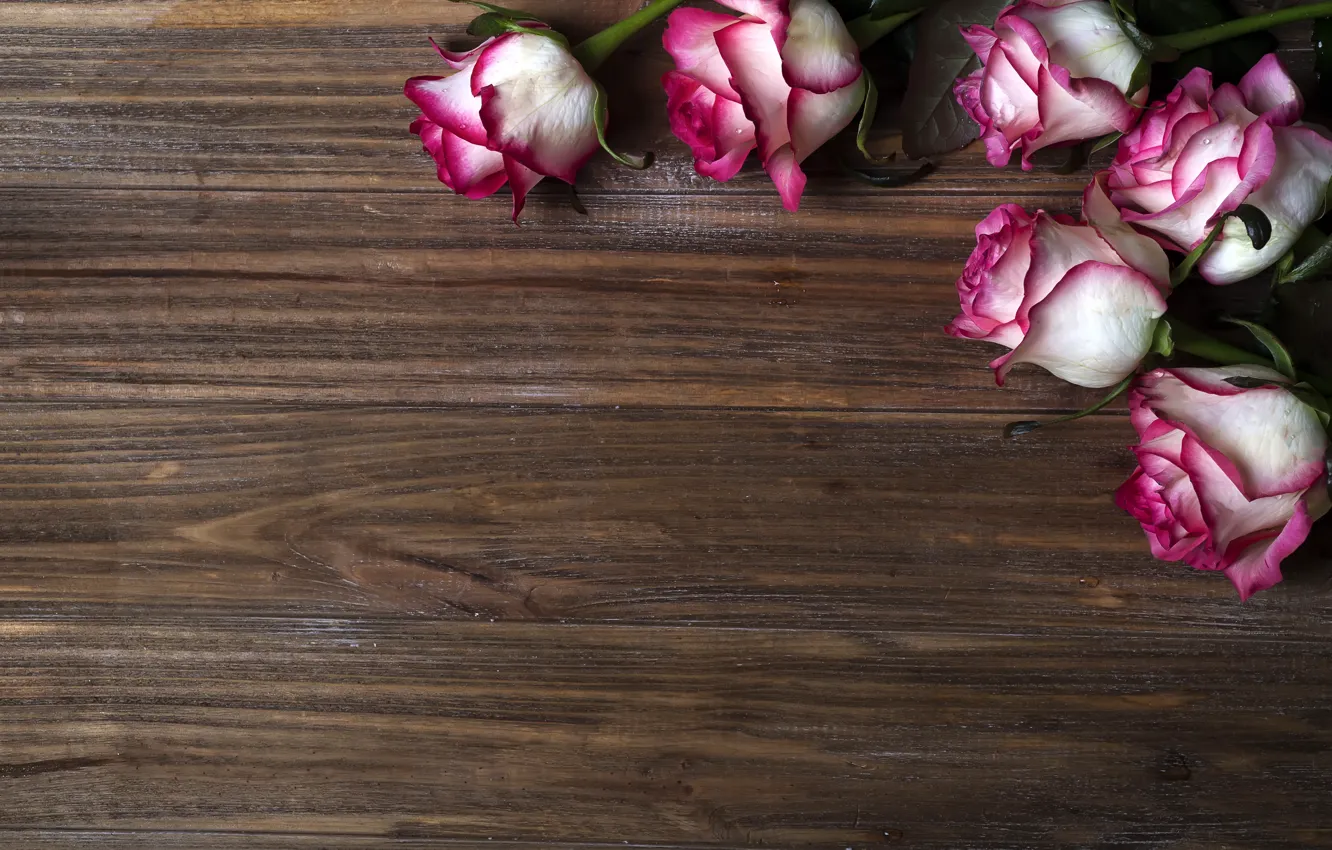 Photo wallpaper flowers, roses, pink, buds, wood, pink, flowers, beautiful