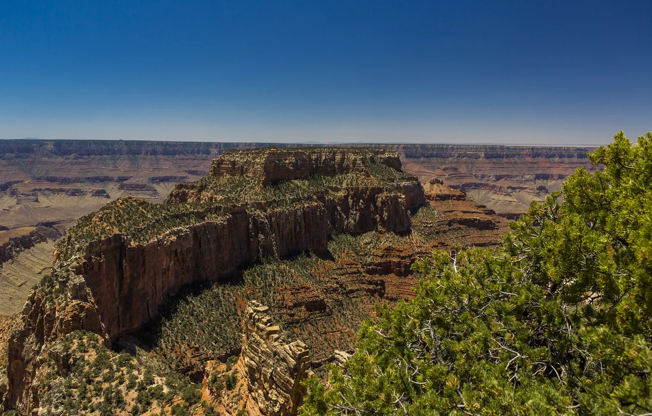 Photo wallpaper Grand, USA, canyon, Arizona.