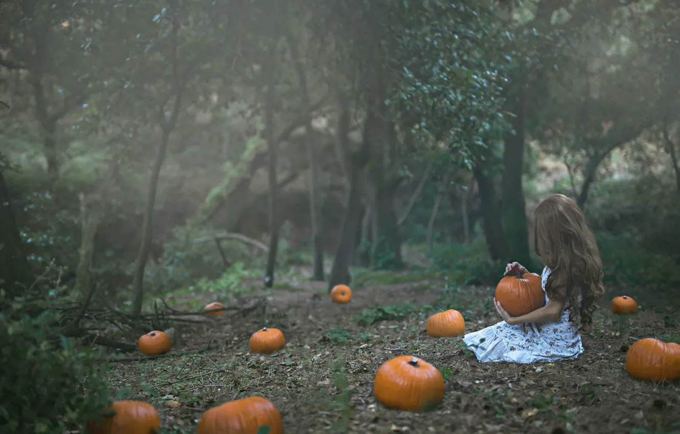 Photo wallpaper forest, girl, pumpkin