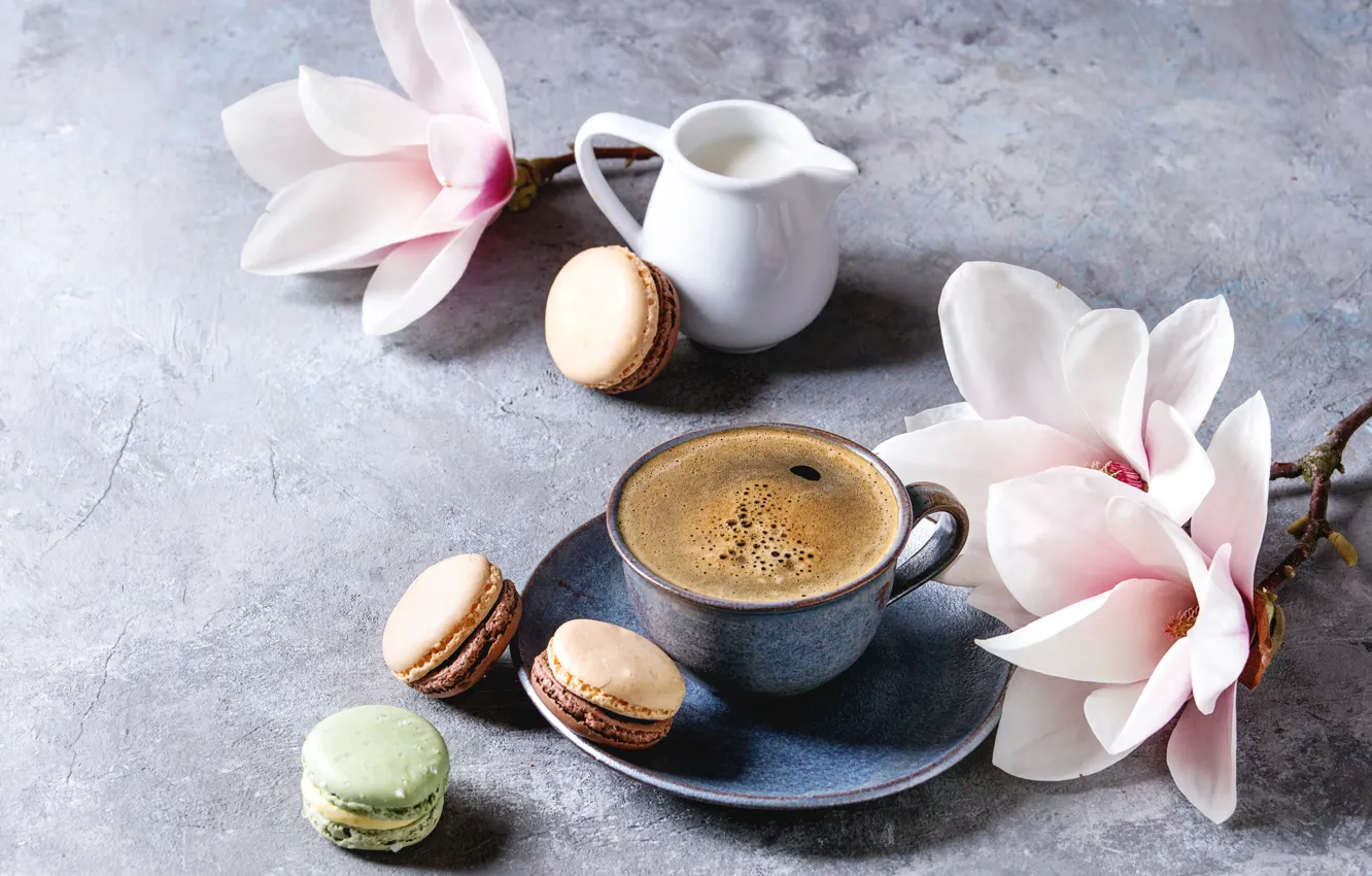 Photo wallpaper Magnolia, flowers, coffee, macaroon