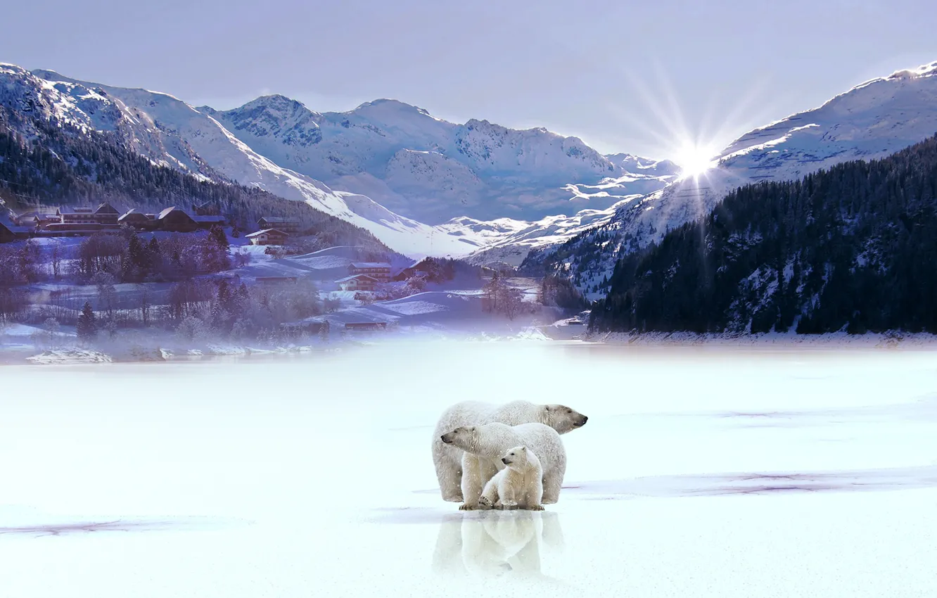 Photo wallpaper winter, forest, the sun, snow, mountains, rendering, shore, tops