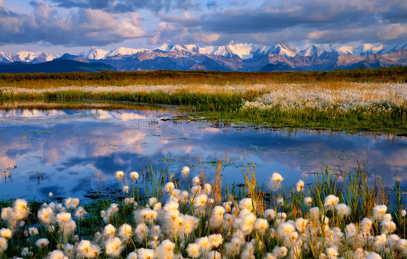 Photo wallpaper the sky, clouds, snow, flowers, mountains, lake