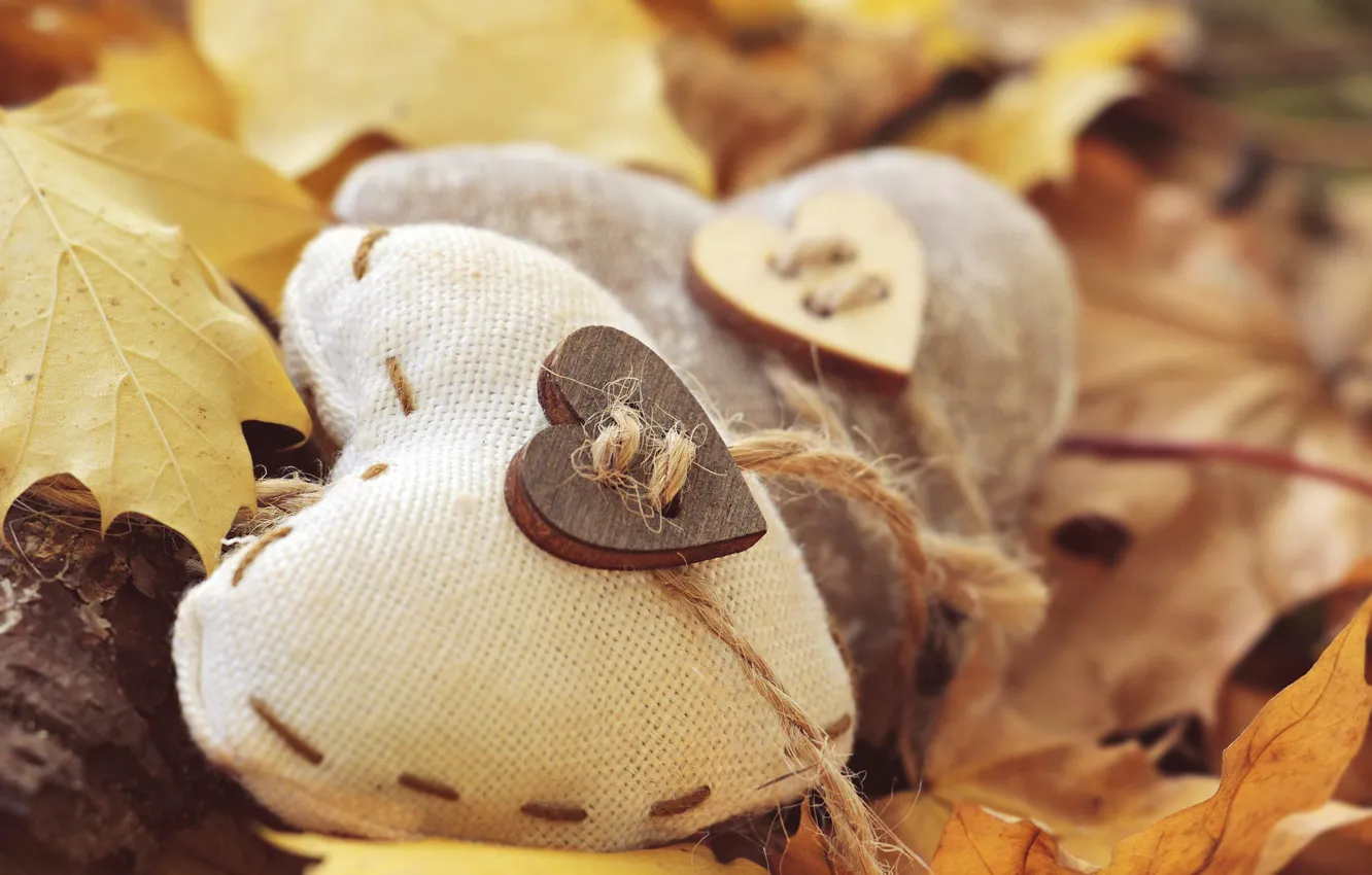 Photo wallpaper autumn, leaves, macro, Heart, button
