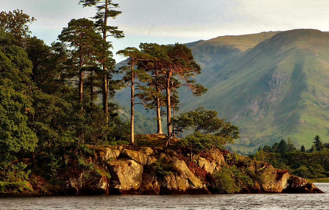 Photo wallpaper trees, mountains, lake, stones, shore, UK, Cumbria, Ullswater