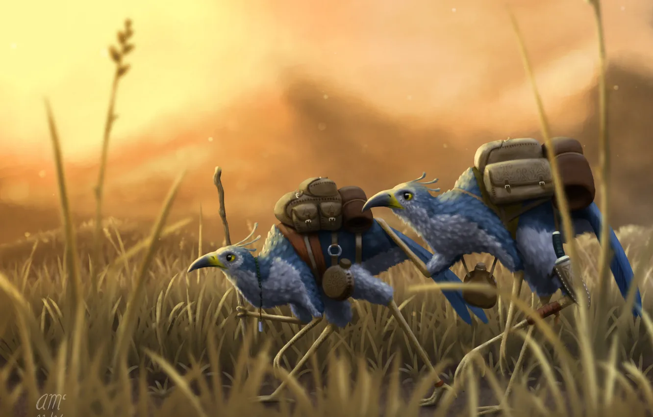 Photo wallpaper grass, bird, Wanderers