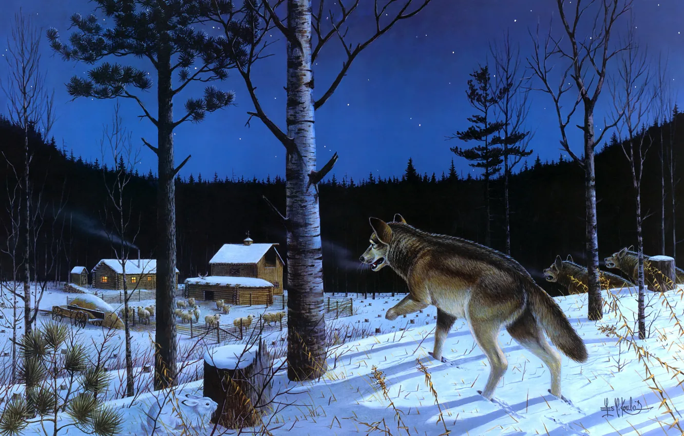 Photo wallpaper winter, forest, the sky, look, stars, snow, trees, night