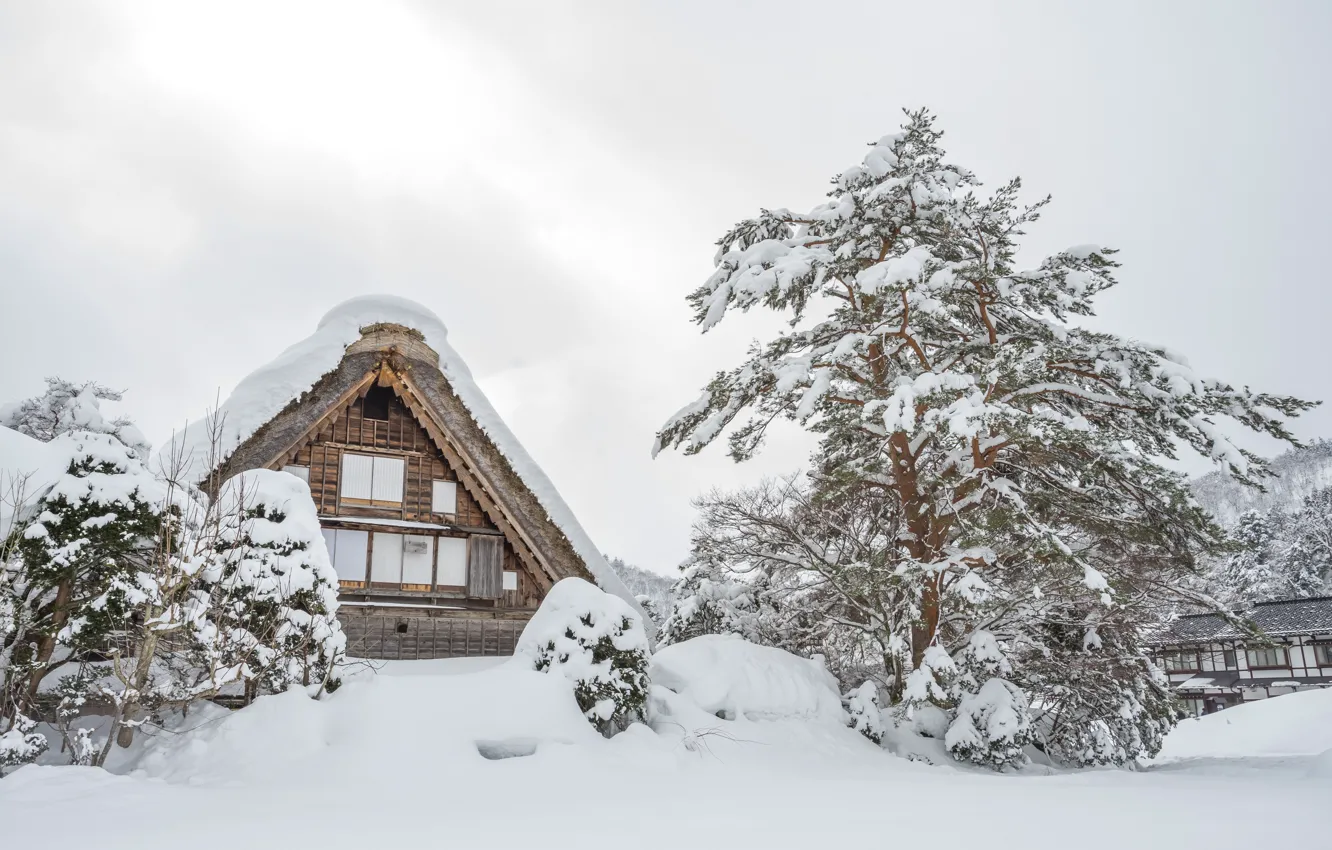 Photo wallpaper winter, snow, trees, landscape, winter, house, hut, landscape