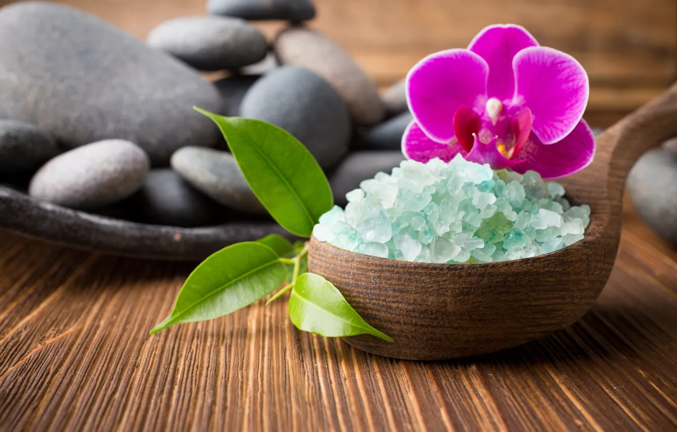 Photo wallpaper stones, Orchid, Spa, orchid, stones, salt, spa, salt