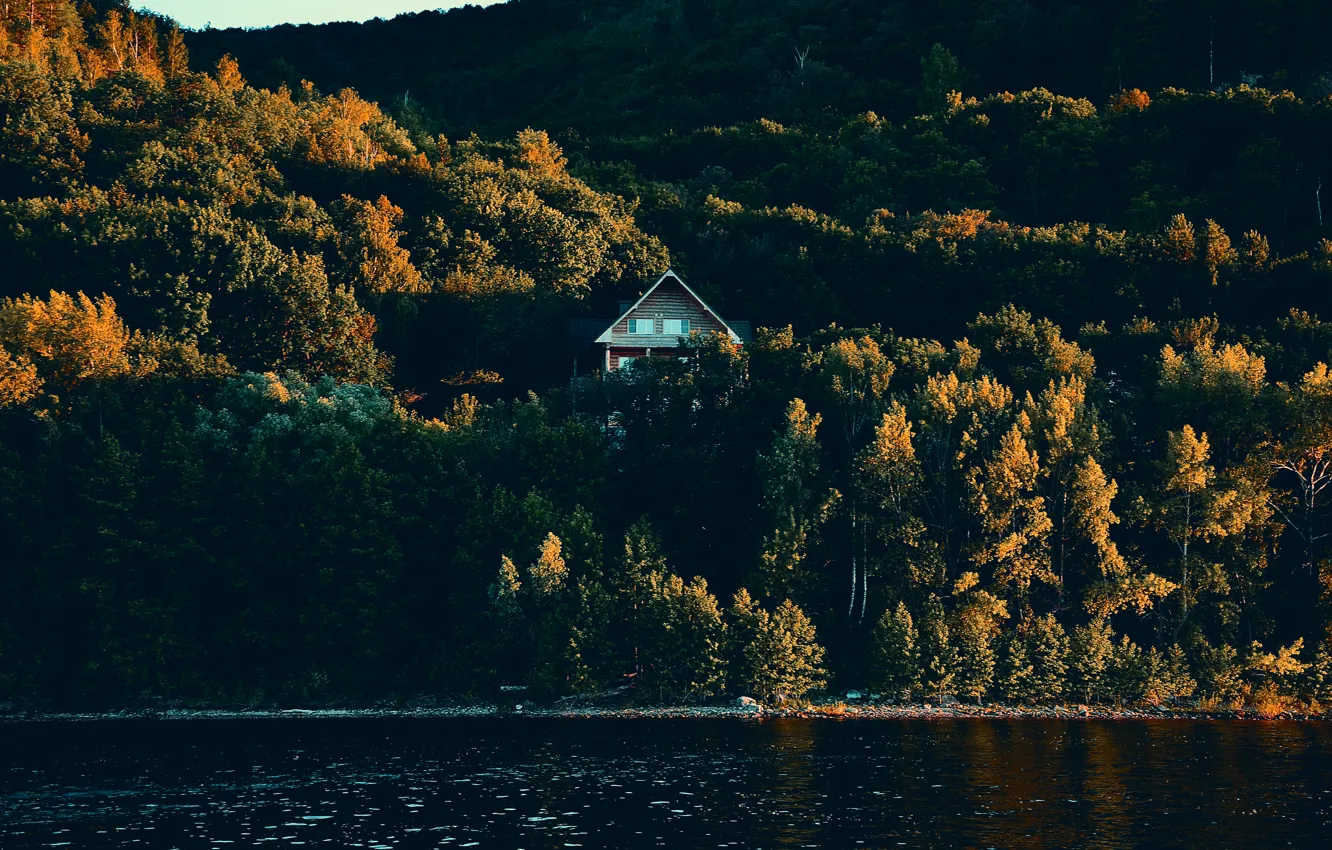 Photo wallpaper greens, forest, summer, the sky, water, trees, mountains, river