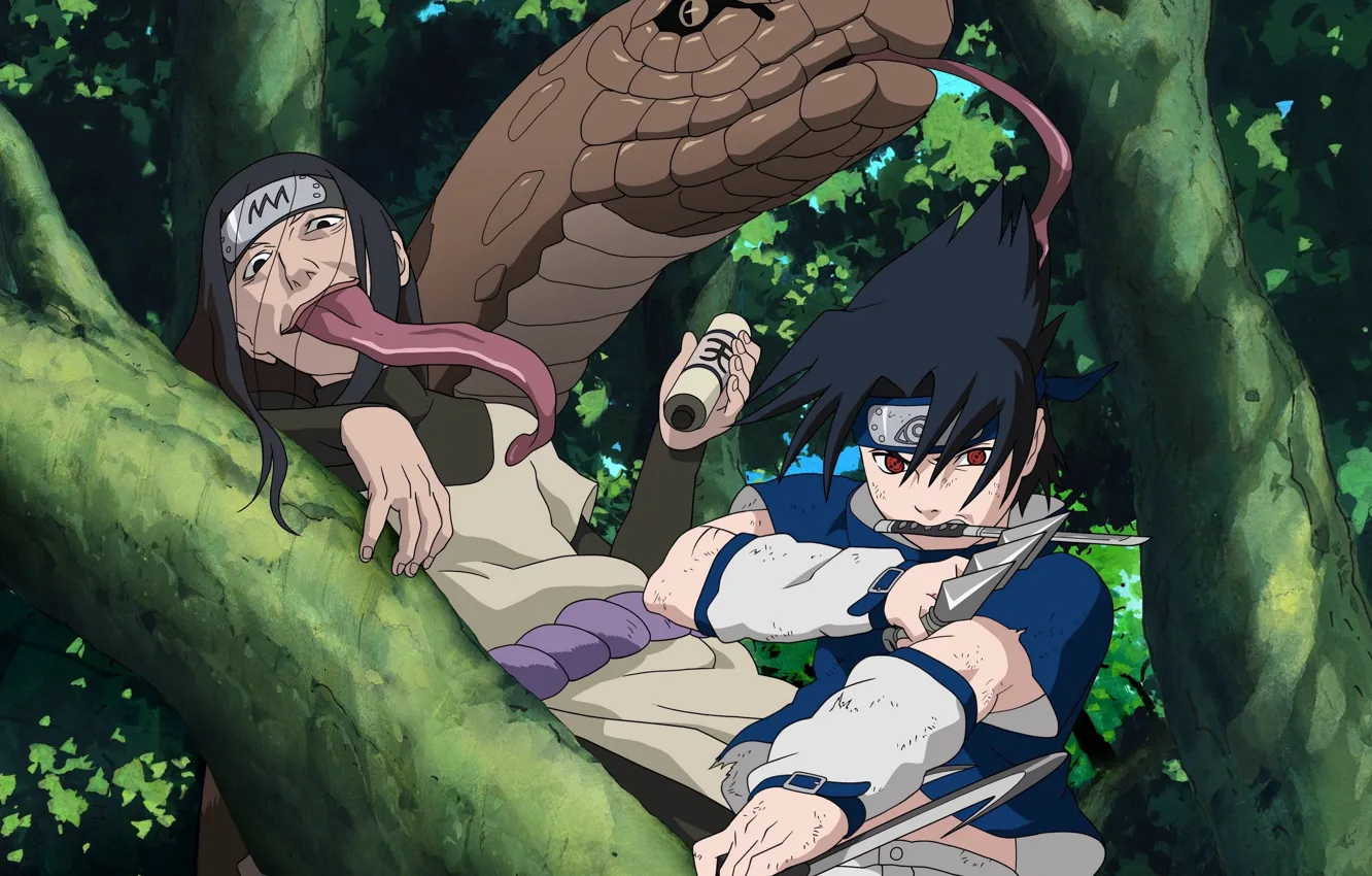 Photo wallpaper forest, weapons, snake, headband, Naruto, red eyes, the fight, long tongue