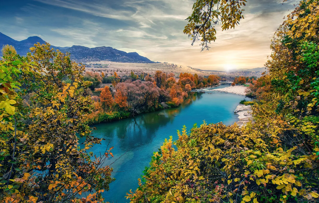 Photo wallpaper autumn, forest, pond