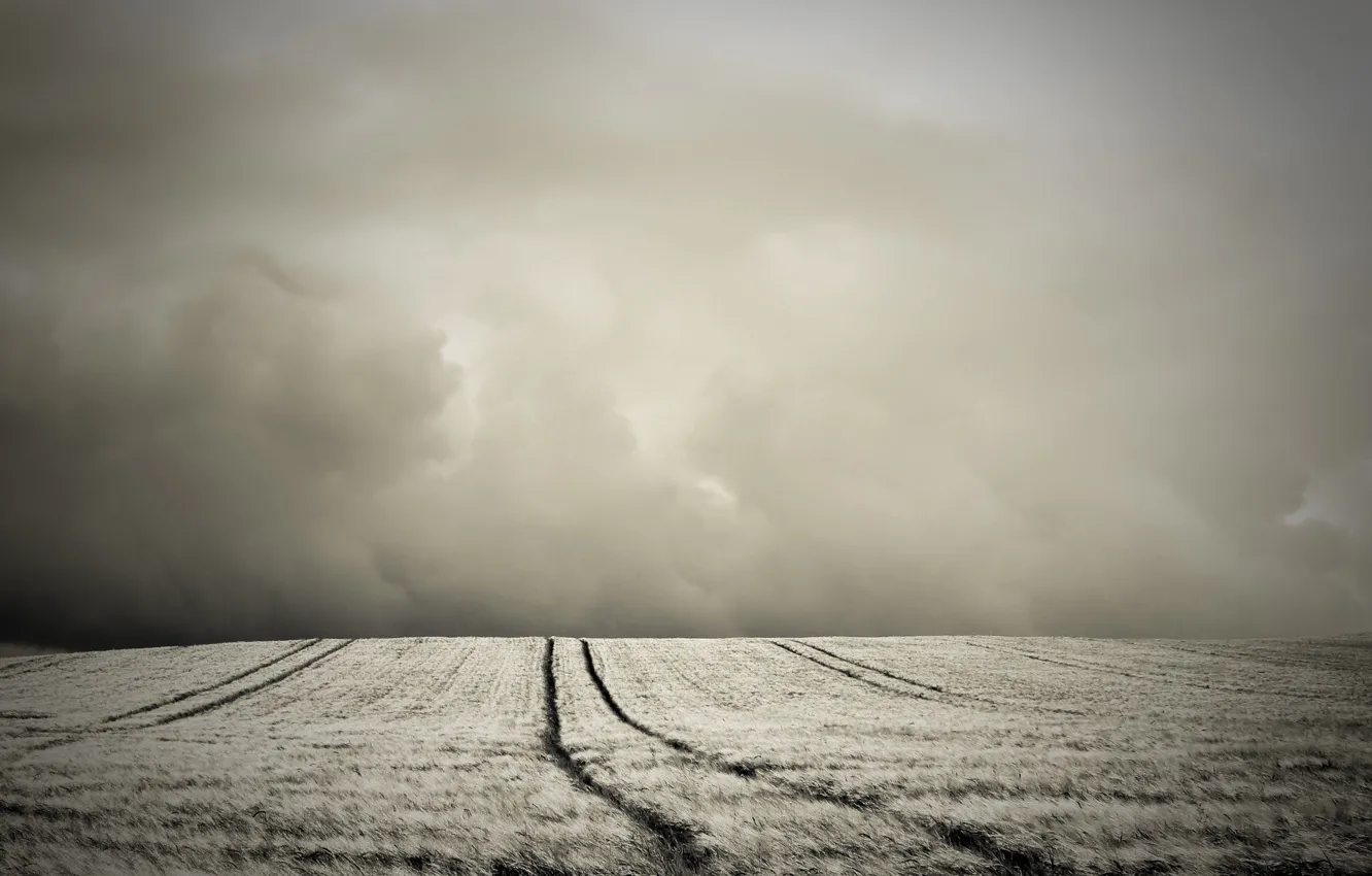 Photo wallpaper field, hills, Sepia