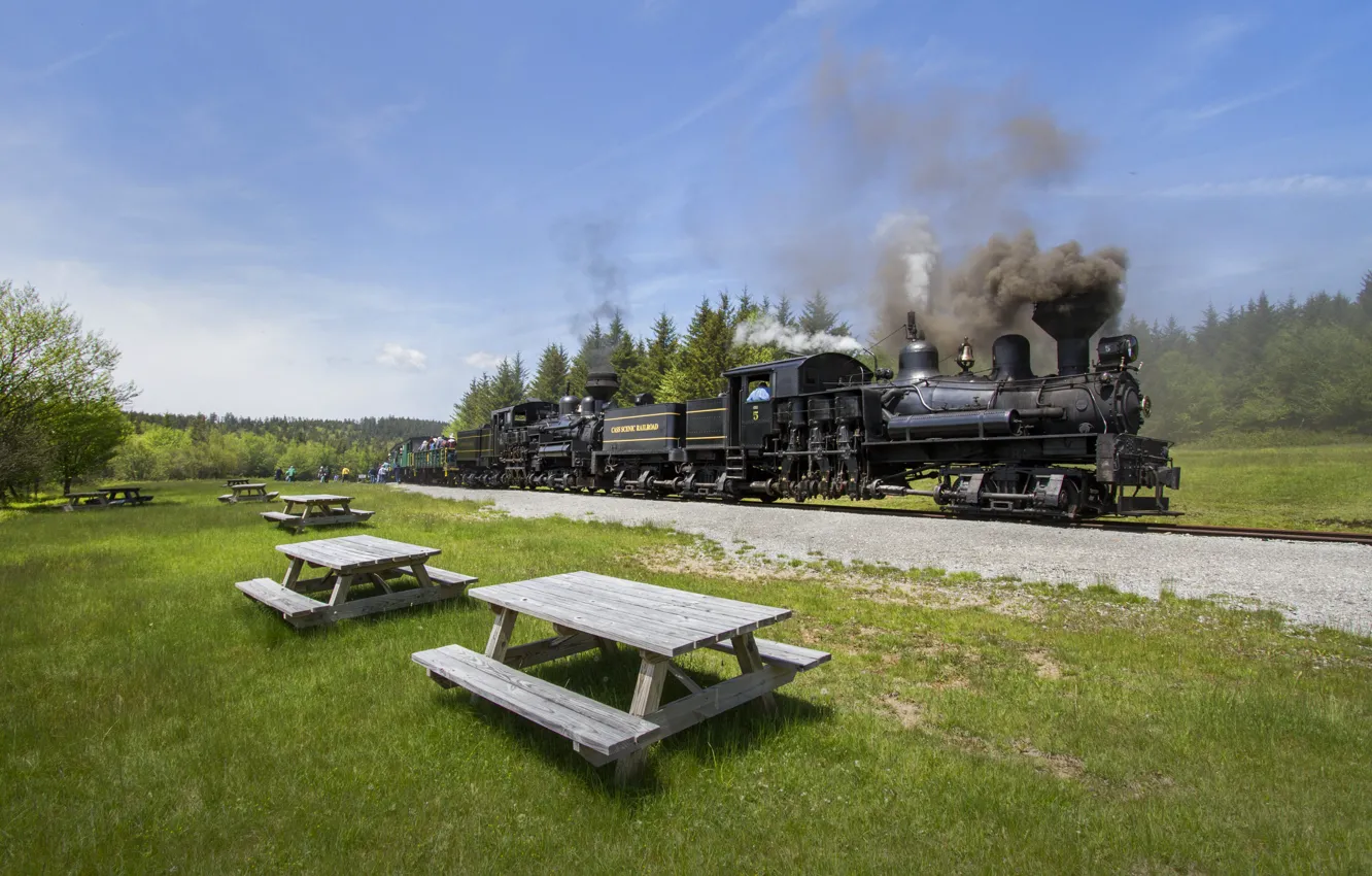 Photo wallpaper Mountains, Grass, Trees, Smoke, The engine, Rails, Couples, Table