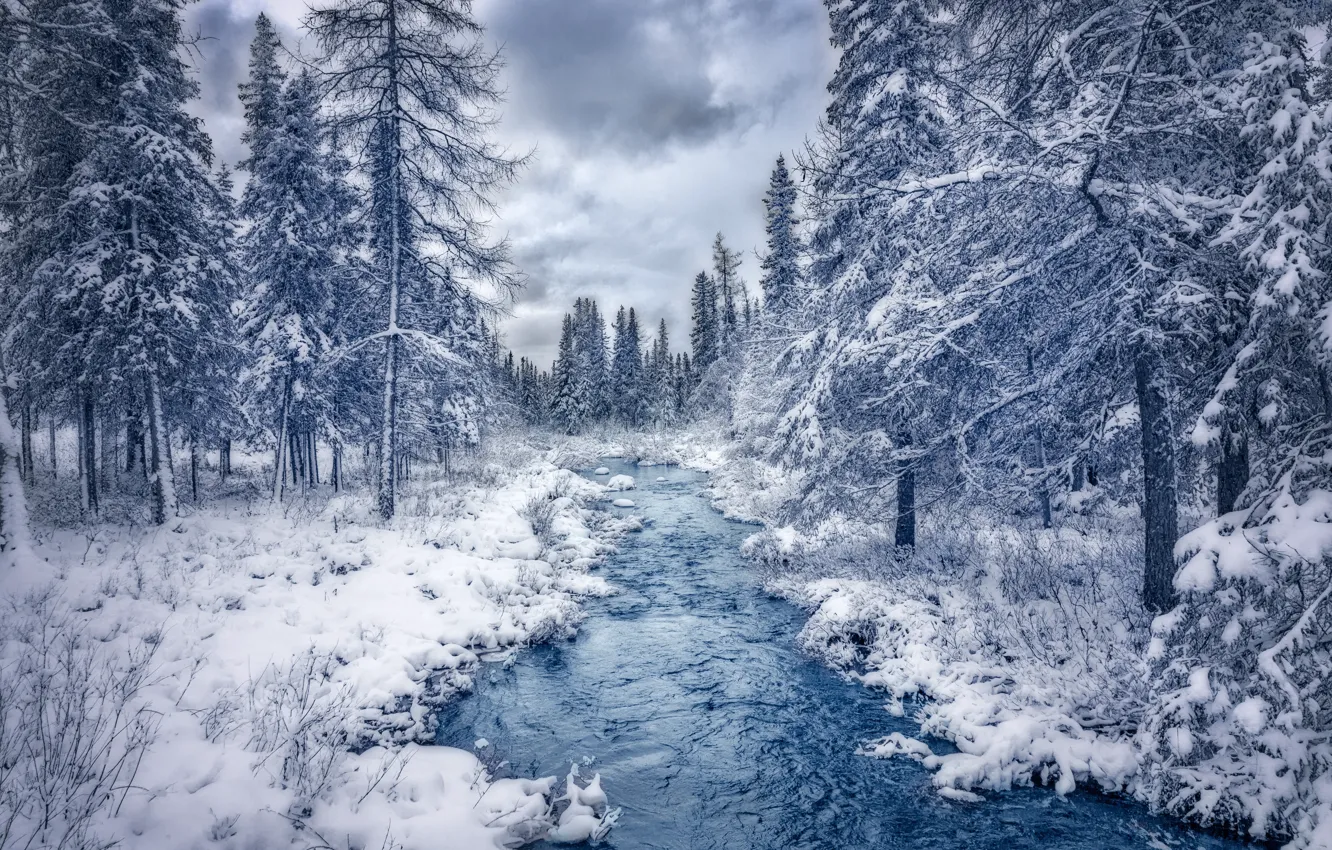 Photo wallpaper river, nature, winter, snow